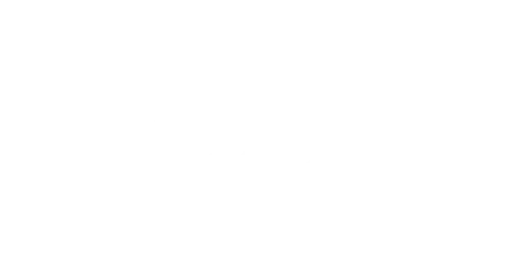 logo-dacia.webp